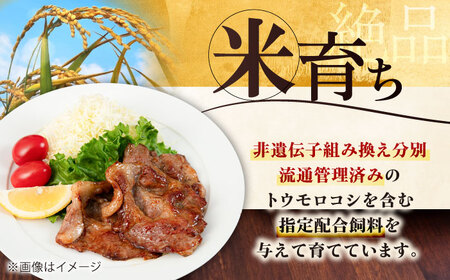 【全3回定期便】平田牧場 肩ロース しょうが焼き用 800g (200g×4P) 豚肉 スライス [AJAP140]
