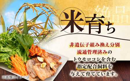 【全3回定期便】平田牧場 バラ 焼肉用 400g (200g×2P) 豚肉 カルビ スライス [AJAP156]
