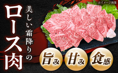 飛騨牛 A5 ロース 300g / 恵那市 / 東美濃農業協同組合 [AUFX007]