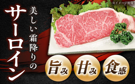 飛騨牛 A5 サーロイン 200g×5枚 / 恵那市 / 東美濃農業協同組合 [AUFX014]