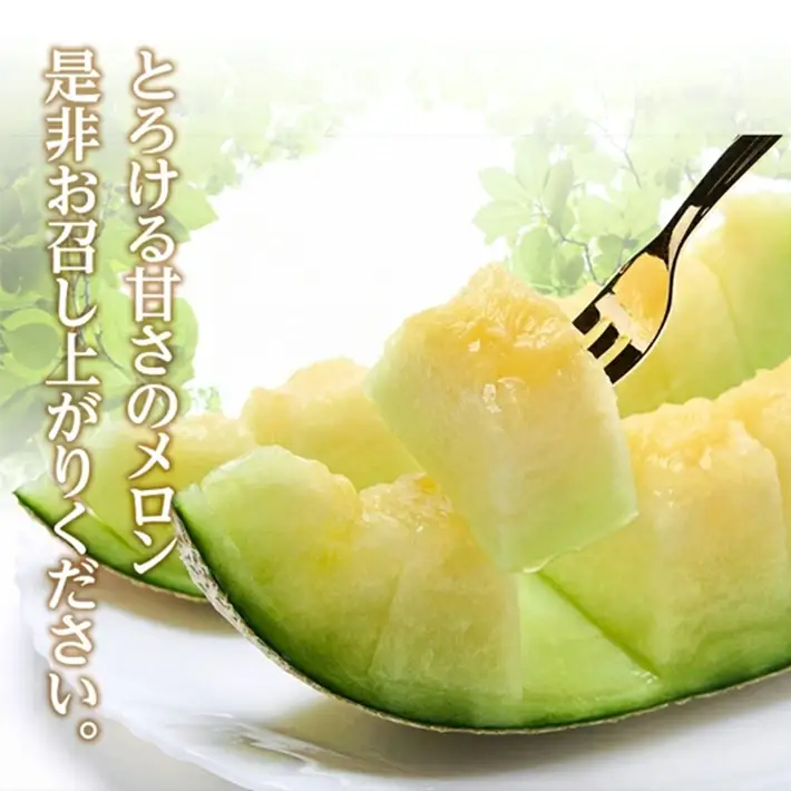 SB0923　庄内砂丘 『品種おまかせ青肉メロン』　約5kg(3～5玉入)