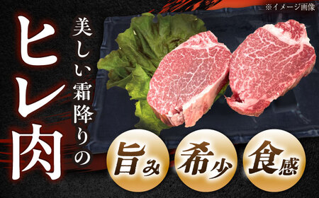 飛騨牛 A5 ヒレ 150g×4枚 / 恵那市 / 東美濃農業協同組合 [AUFX018]