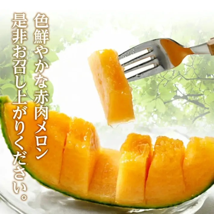 SB0922　庄内砂丘 『品種おまかせ赤肉メロン』　約5kg(3～5玉入)