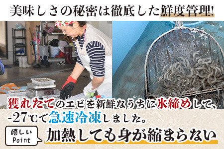 佐賀県有明海産 天然芝海老むき身(加熱用) 500g(100g×5袋）｜海老 エビ 剥き 真海老 国産 加熱用 使い切り 水洗い不要 簡単調理 ストック 主婦に最適 佐賀県鹿島市 人気 送料無料　B-846