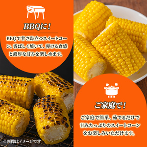 ＜期間限定＞天塩川源流スイートコーン ゴールドラッシュ (10本) 【2026年8月下旬より順次発送】北海道産 北海道 士別市 とうもろこし トウモロコシ とうきび コーン 野菜 産地直送 【三栄アグリ】【A7094】