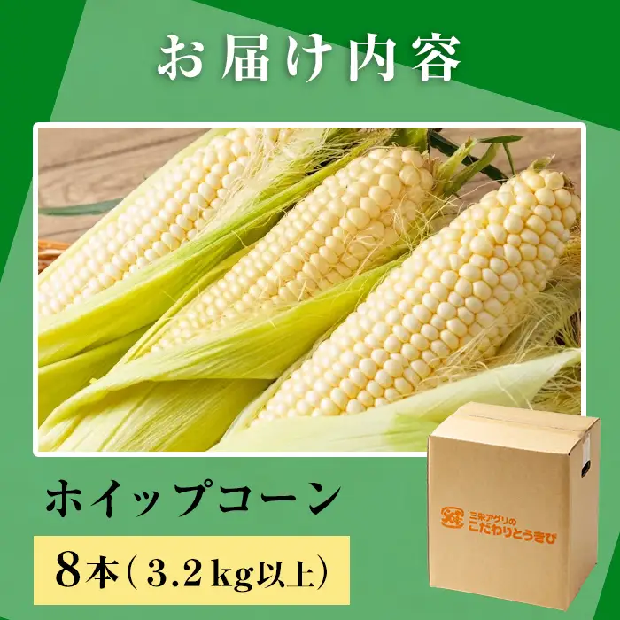 ＜期間限定＞天塩川源流スイートコーン ホイップコーン (8本)【2026年8月下旬より順次発送】北海道産 北海道 士別市 とうもろこし トウモロコシ とうきび コーン 野菜 産地直送 【三栄アグリ】【A7096】