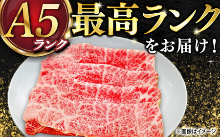 長崎和牛 A５ランク 特選レモンステーキ（肩ロース）約400ｇ [DAR045] レモンステーキ