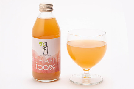 【定期便3ヶ月】RICH APPLE 飲み比べ りんごジュース12本セット（250ml×12本×3回）【飲料類 果汁飲料】