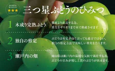 【先行受付】訳あり星乃シャインマスカット(岡山県産) 3～4房(1.8kg以上)【配送不可地域：離島・北海道・沖縄県】【1626442】