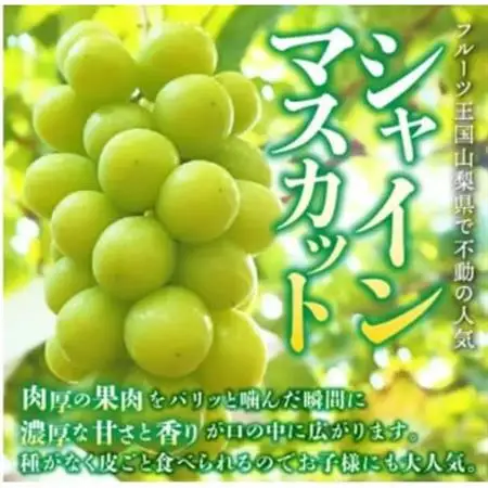 【発送月固定定期便】桃2kg(5～8玉)　黒ぶどう1房　シャインマスカット2房1kg以上全3回【配送不可地域：離島】【4067606】