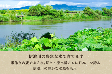 【令和8年産新米先行予約】新潟県産コシヒカリ 玄米10kg（10kg×1袋）（従来品種）《9月中旬から順次出荷》