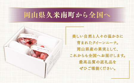 《種なし》 岡山県産 クイーンニーナ 手軽なカップタイプ 約300g × 4カップ 計約1.2kg【2026年8月下旬-9月下旬発送予定】／ ぶどう ブドウ 葡萄 大粒 種なし 種無し フルーツ 果物 くだもの 果実 カップ入り カップ お手軽