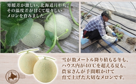 2026年夏発送】北海道 青肉メロン 月雫 優品 4～6玉 計約8kg 令和8年
