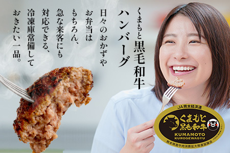 くまもと黒毛和牛 DREAMバーグ 100g×10個 【計1kg】 生 ハンバーグ 牛肉 100％ ブランド牛 黒毛 和牛 お弁当 熊本 上質 肉 惣菜 冷凍 小分け 熊本県 113-0540