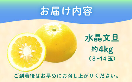 【ご家庭用】水晶文旦 約4kg[ECL007]文旦