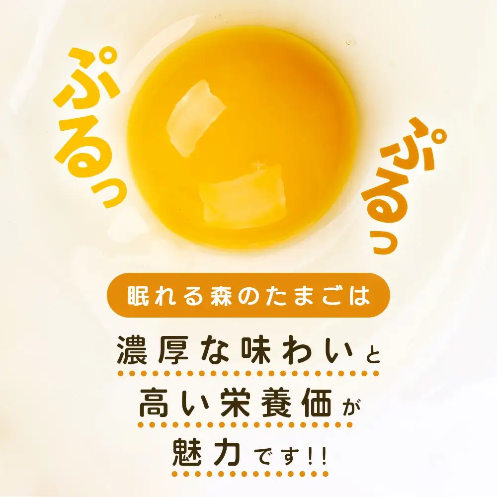 【12か月連続お届け】眠れる森のたまご 朝採れ卵40個　たまご タマゴ 卵 鶏卵 濃厚 こだわり 新鮮 定期便　【04301-0799】