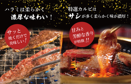 松阪牛 焼肉 （特選 カルビ ハラミ） 500g  肉 牛 牛肉 和牛 ブランド牛 高級 国産 霜降り 冷凍 ふるさと 人気 焼肉 焼肉用 BBQ バーベキュー SS38