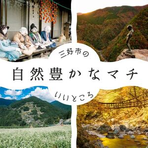 ピンクルイボスティー 紅茶 22袋 3パック【 紅茶 】