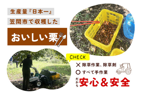 生栗 栗 2kg 1kg×2袋  特大 3L 以上 数量限定 国産 和栗 くり スイーツ 果物 フルーツ 栗きんとん モンブラン 栗ご飯 秋 旬 カサマロン 生産量 日本一 笠間 かさま ギフト プレゼント いばらき KA-001