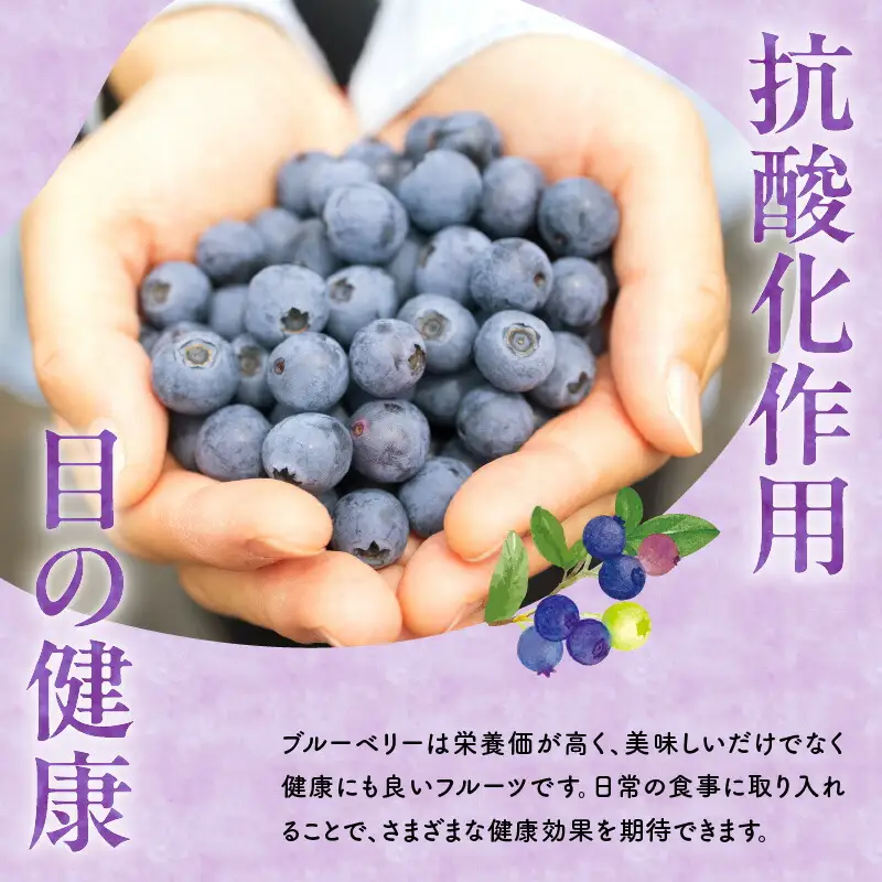 【先行予約：2026年8月上旬以降発送】フルーツ王国余市産 生ブルーベリー 1Kg【ニトリ観光果樹園】_Y074-0160