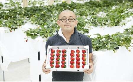 先行予約 四季成りいちご 品種おまかせ 1種類 400g いちご