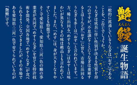 愛知県三河一色産 めすうなぎ「艶鰻」うなぎ蒲焼き （計2尾400ｇ以上）・U048
