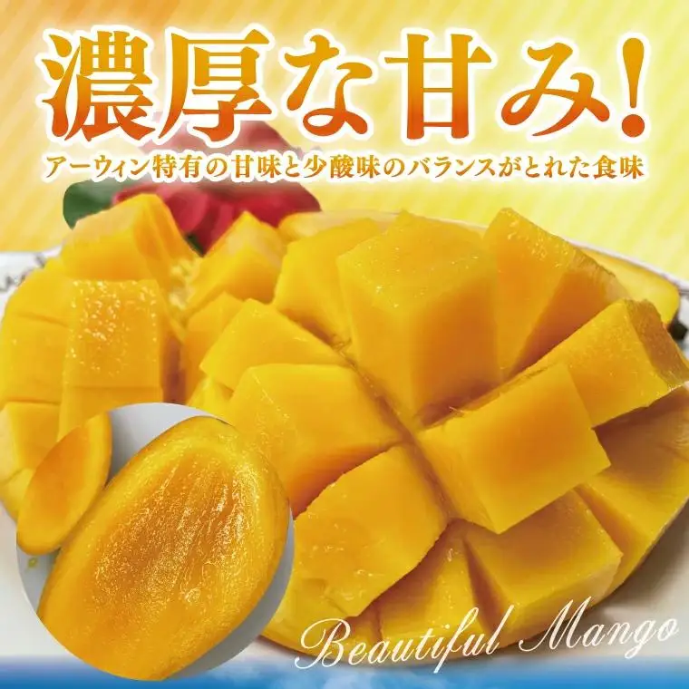 【訳あり】菜々色畑のアーウィンマンゴー 3～5玉(約2kg)【白箱】 ご家庭用