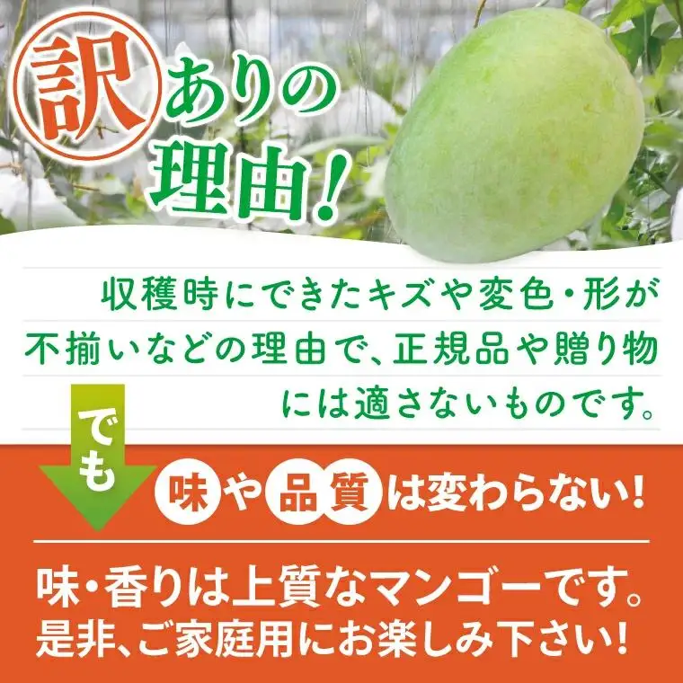 【訳あり】菜々色畑のキーツマンゴー 2～6玉(約2kg)【白箱】ご家庭用