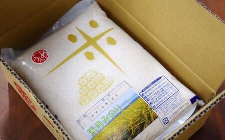 【先行予約・令和8年産新米・8月下旬～発送】新潟米 葉月みのり 無洗米 4kg ヤタらうんめぇお米 水田環境鑑定士在籍[Y0194]