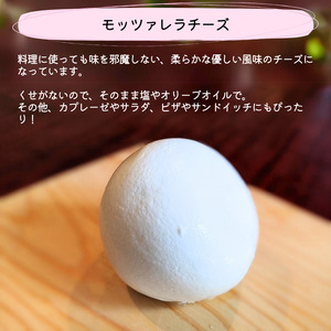 さーちゃんミニヤギ牧場 チーズ作り体験チケット 3人分
