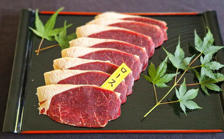 鹿BBQセット 5～6人前 (鹿スライス150g×3パック/鹿串75g×5本)  ジビエ 鹿肉 大分県 日田市 焼肉 BBQ [ARDE002]