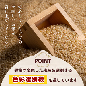 栃木県産 ミルキークイーン 10kg（5kg×2袋）【栃木県共通返礼品】AB | 栃木県 下野市