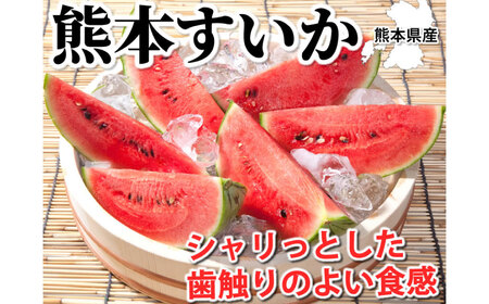 大玉すいか 秀品 1玉 約6kg?9kg 西瓜 スイカ 果物 くだもの フルーツ 【2026年5月下旬～7月下旬迄順次発送予定】
