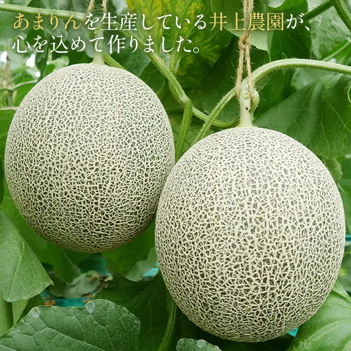 美里町産「タカミメロン」1箱（3kg入）  [No.018]