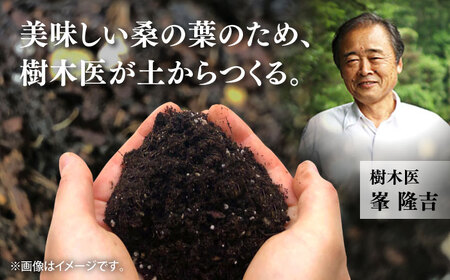 【全6回定期便】樹木医が育てた桑の葉茶（粉末）50g×1袋 お茶[AYBM022]