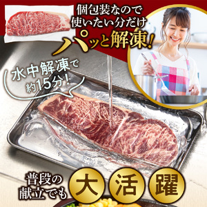 おうちで簡単サーロインステーキ（125ｇ×8） ｜ 【最短4～7日以内発送】 ステーキ 冷凍 簡単 北海道石狩市