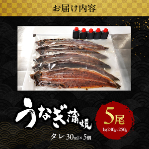 2026先行予約【7月発送】 国産うなぎ蒲焼 5尾 (1.2kg～1.25kg) 国産 うなぎ ウナギ 鰻 国産うなぎ 国産鰻 うなぎの蒲焼 鰻の蒲焼 うなぎの蒲焼き 鰻の蒲焼き 蒲焼き 惣菜 魚 魚介 魚介類 大阪 大阪府 岸和田市