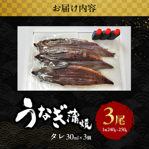2026先行予約【7月発送】 国産うなぎ蒲焼 3尾 (720g～750g) 国産 うなぎ ウナギ 鰻 国産うなぎ 国産鰻 うなぎの蒲焼 鰻の蒲焼 うなぎの蒲焼き 鰻の蒲焼き 蒲焼き 惣菜 魚 魚介 魚介類 大阪 大阪府 岸和田市