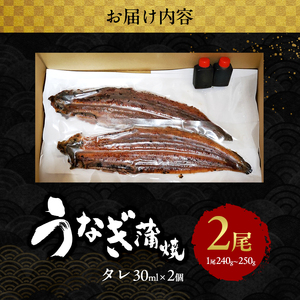 2026先行予約【7月発送】 国産うなぎ蒲焼 2尾 (480g～500g) 国産 うなぎ ウナギ 鰻 国産うなぎ 国産鰻 うなぎの蒲焼 鰻の蒲焼 うなぎの蒲焼き 鰻の蒲焼き 蒲焼き 惣菜 魚 魚介 魚介類 大阪 大阪府 岸和田市