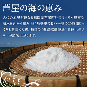 芦屋町の旨み粗塩 (100g) 塩 海水 福岡県 芦屋町 ソルト 低温乾燥製法 チャック付きしお あら塩 【パルセイユ】as04-027