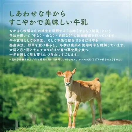 なかほら牧場 ミルクアイスと、ミルククリーム2種類のセット【配送不可地域：離島】【1624027】