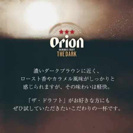 オリオンビール オリオン ザ・ダーク(350ml×24本)【1626584】