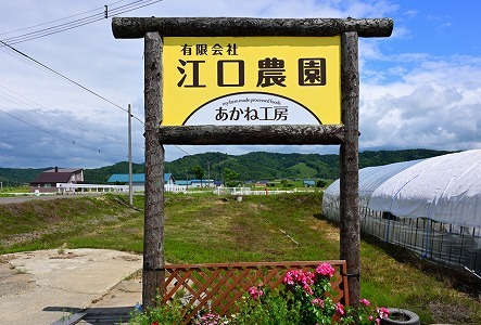 江口農園　果実ぎっしりジャム　3本セットD