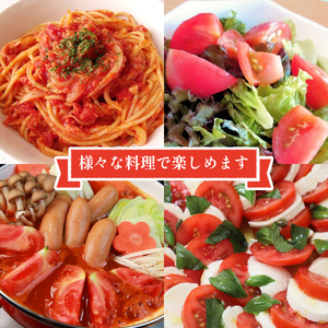 【2026年6月下旬頃から順次発送】トマト 2kg  甘みと酸味の絶妙なバランスの麗月トマト 赤採れ moto farm 愛媛県 松山市【MTF004】