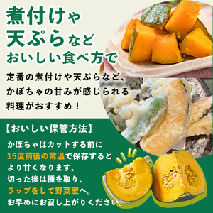 北海道士別産 かぼちゃ ブラックのジョー (4kg)【9月下旬以降準備ができ次第発送】 北海道産 国産 カボチャ 南瓜 野菜 煮物 サラダ 天ぷら 甘い 味覚の秋 【吉方農園】【A7084】