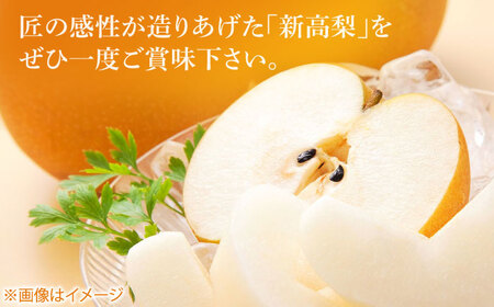 まるはり新高梨（約800g×3玉入） 〈2026年9月下旬?2026年10月上旬発送〉 / 新高梨 梨 果物 フルーツ デザート 【高知市農業協同組合】 [ATBK002]