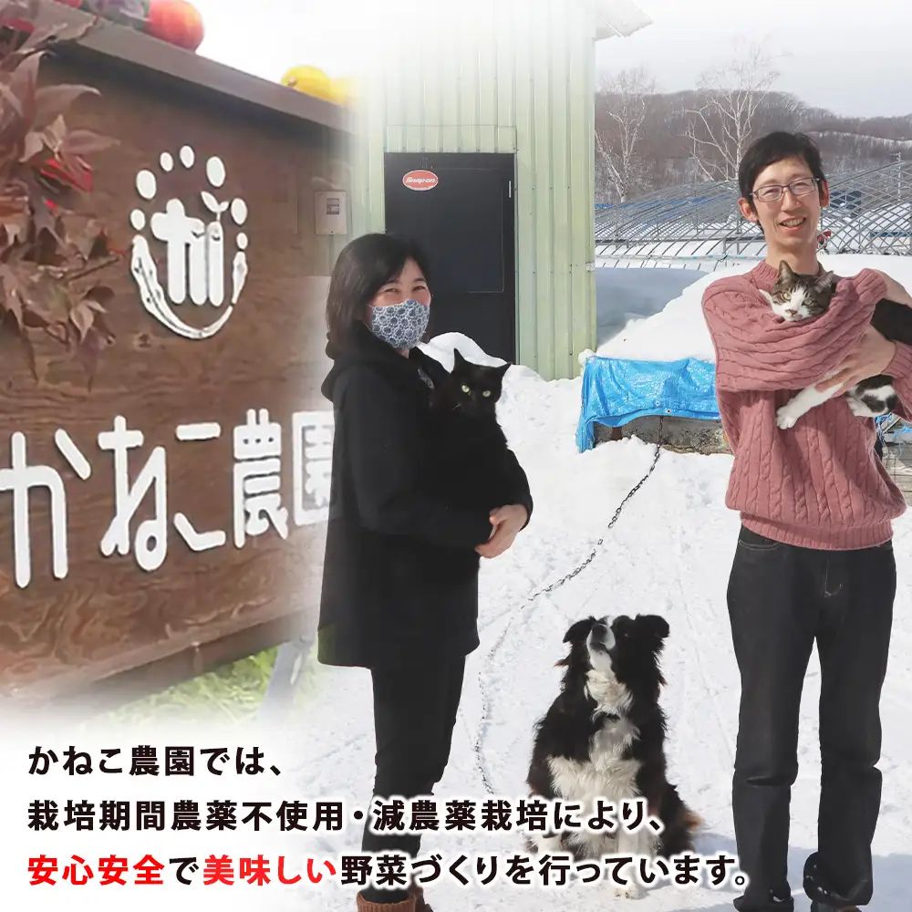 【2026年9月末より発送】北海道産 旬の秋ニンジン 10㎏ 【かねこ農園】