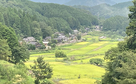 令和7年度産 京都丹波産 コシヒカリ米 精米 (5kg) ふるさと納税 福知山市 米 こめ 精米 コシヒカリ こしひかり 5kg 甘味 粘り 【fc-DF001】【スミちゃんファーム】