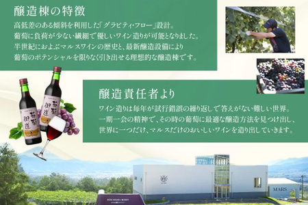 【ふるなび限定】 体験チケット 1名様分 あなたにピッタリなワインをソムリエと一緒に見つけませんか。 [本坊酒造株式会社マルス穂坂ワイナリー 山梨県 韮崎市 20745037]  FN-Limited-SP
