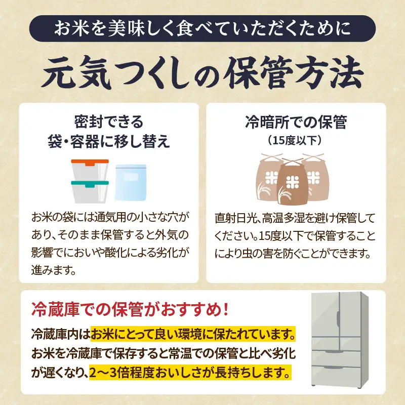 九州・福岡からお届け！ブランド米「元気つくし」定期便【全6回】 お米 米 コメ 白米 特A 直送 お弁当 おにぎり 炊きたて ツヤ 粘り もちもち 弾力 卵かけご飯 福岡県 八女市 072-T158